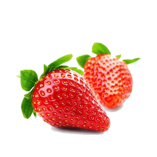 h3-product13 h3-product13